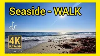 Long Seaside Walk 🚶&zwj;♂️🌊 | Calm Daytime Ocean Walk | Relaxing Coastal Ambience