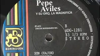 ▶️SON  GUAJIRO -  PEPE AVILES Y SU ORQUESTA LA MAGNIFICA