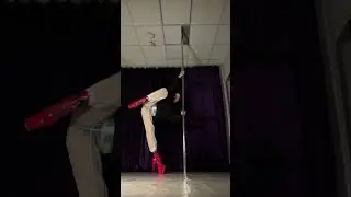 Pole dance / pole exotic
