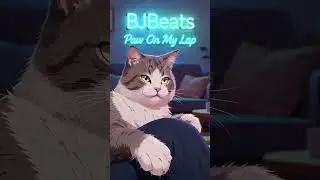 Paw on My Lap: Purr Therapy Session #lofi