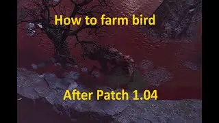 Elden Ring Rune farm after Patch 1.04