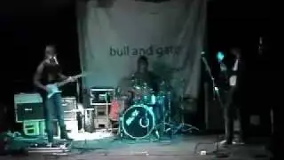 The 13  Save the Moonbears Gig  Raised enough money to support three Moonbears for a year Fantastic!