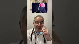 Une amibe mangeuse de cerveau...