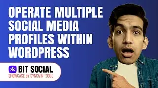 Bit Social Showcase: A WordPress Social Media Management Tool