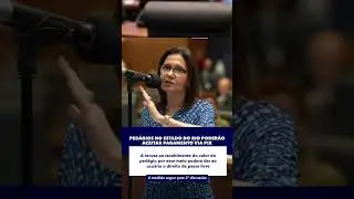Plen&aacute;rio Virtual | Ped&aacute;gios no Estado do Rio poder&atilde;o aceitar pagamento via Pix (22/05/24)
