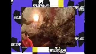 'the sg video' trailer