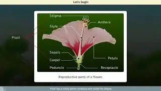 Pollination | Science | Class 5