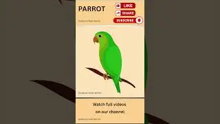 Learn Birds Names for Kids | Birds Names | Kids Learning Video |  #kidseducation  #birdsforkids