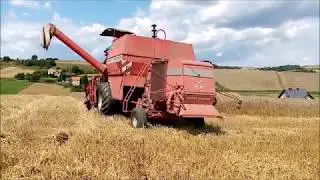 odc 2 żniwa 2019 MF 240 i T25