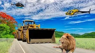Bus Truck Car Bulldozer cartoon entertainment official basu creation entertainment channel