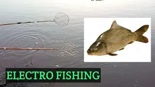 Electro fishing machine,fish shocker, fish stunner,how to catch fish with fish shocker