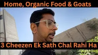 Home Construction, Organic Food & Goat Business | 3 Cheezen Ek Sath Chal Rahi Hen Meri Life Mein 