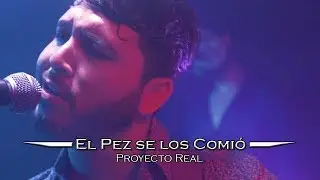 El Pez se los Comió - Proyecto Real (En Vivo 2019)