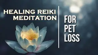 Healing Reiki Meditation for Pet Loss and Grief | Help for grieving, sadness, guilt | Reiki Master