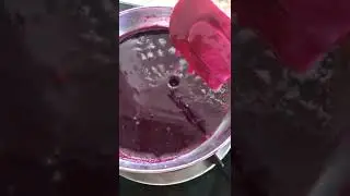 Jamun Mocktail | Black Plum Mocktail #shorts #youtubeshorts #blackplum #mocktail