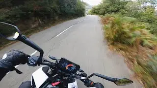 The dust, the animals, me at full speed | KTM Duke 125 2019 [4K/RAW]