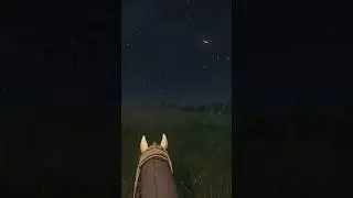 Freedom of Bohemia