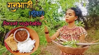 Wild vegetable watercress Curry @ jungle family cooking #villagecooking #wild vegetable