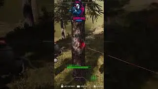 I Froze Up! 🥶 Armor Absorbed All! Skill Issue? Go 4K UHD HDR DLSS RTX 4070 SUPER #SPRTGO-DREAM
