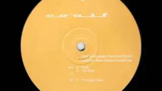 Progressive Sounds of the South - the Tipper Remix