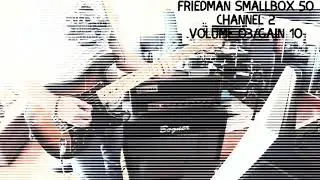 Friedman SmallBox 50 (Ibanez TS mini and Nobels ODR-mini) ⁣