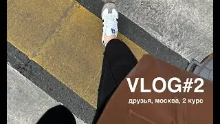 VLOG#2 новый учебный год, чужие собаки и 