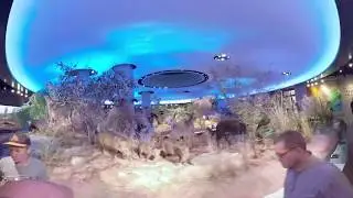 The Witte Museum in 360 Naylor Family Dinosaur Gallery