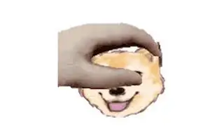Real Bois Pet