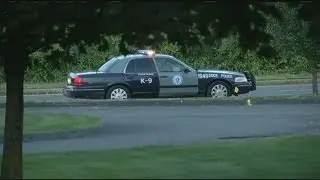 Update on Chicopee Police's search for suspect
