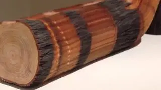 Stacked & Folded - Dennos Museum Center