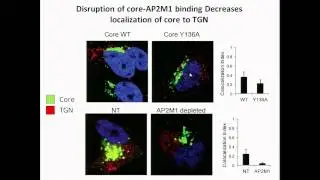 Identification and targeting of viral-host interactions essential for hepatitis C virus assembly