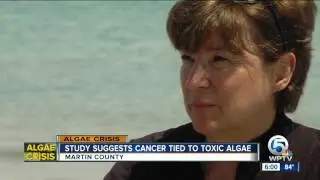 Study suggests cancer tied to toxic algae