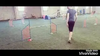 Intenzivka pod Eli&scaron;kou Pan&aacute;čovou 2.4.2017