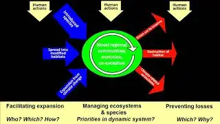 Chris Thomas - Moving Times for the World's Terrestrial Biodiversity