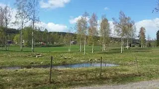 Spring in Austmarka, Norway