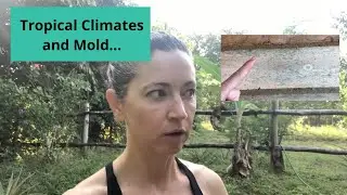 Humid Climates Lead To Mold Growth - Humidity in the Jungle!