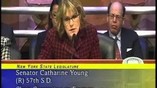 Senator Young Supports Route 219 During Transportation Budget Hearing