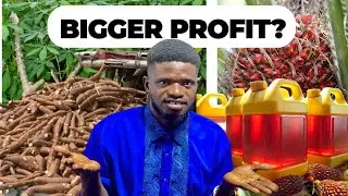 Cassava Supply vs Palm Oil Supply: Which Is More Profitable In 2025?