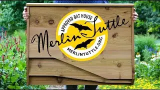 BatBnb receives Merlin Tuttle's seal of approval!