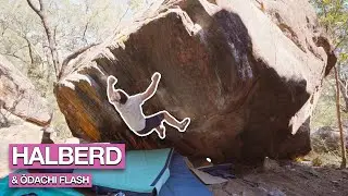 1st time on Central Coast! 🍒💥 Halberd (V7) & Ōdachi (V6) at The Amoury