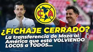 👀 EXCLUSIVA La VERDAD sobre Alan Mozo y el Am&eacute;rica    &iexcl;Prepara tu CORAZ&Oacute;N