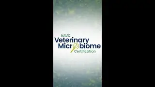 Boost Patient Care with #Microbiome Science! 🦠🐾 | #Vet Certification