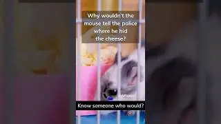 Mouse Joke #shorts #jokes #mouse