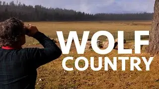 Wolf Country
