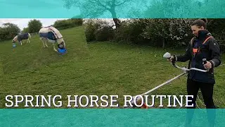 Spring Horse Routine - Vlog 274 - Beth Endurance