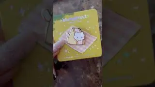 Blushsprout haul! #onlineshopping #haul #enamelpins #kawaii #cute #cat #frog #blushsprout #unboxing