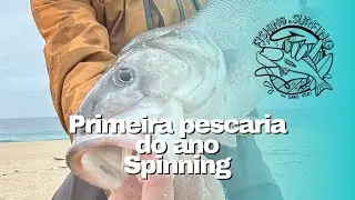 Snook fishing with spinning reels / First fishing trip of the year 🎣🇵🇹
