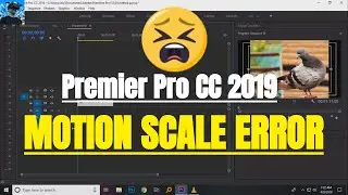 Adobe Premier Pro CC 2020 Tutorial - Motion Scale Error