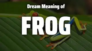 Frog Dream Meaning & Symbolism