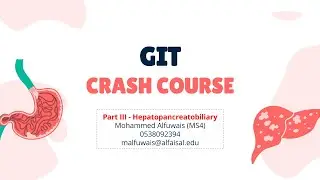 GIT Crash Course Part 3 - Hepatobiliary System | Mohammed Alfuwais | GIT 353 PAL review session